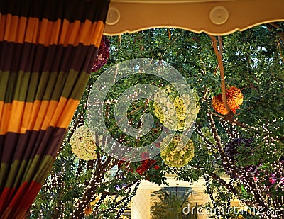 Botanical Ceiling Arrangement with Fairy Lights Stock Photo