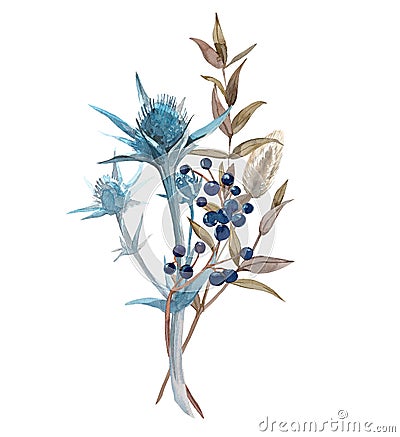 Botanical composition isolated on white background. Bouquet with eryngium, lagurus, eucalyptus, viburnum. Stock Photo