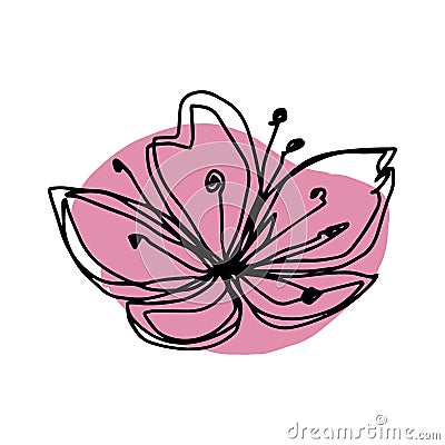 botanical floristic contour flower cherry sakura apple blossom open buds . Vector isolated minimalistic pink and black flower Vector Illustration