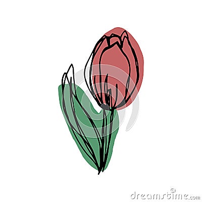 botanical floristic contour flower peonies, poppies tulips open buds and closed. Vector isolated minimalistic terracotta flower Vector Illustration