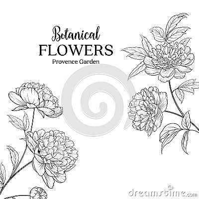 Botanical flowers garland. Vector Illustration