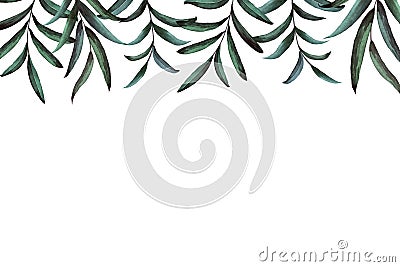 Botanical frame with hand painted watercolor green leaves on white background. Rectangle. Stock Photo