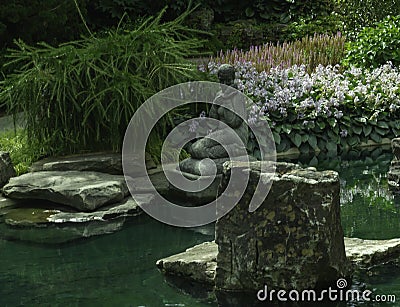 Finding A Peaceful place To Sit Stock Photo