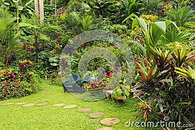 Botanical garden in Barbados, Caribbean Stock Photo