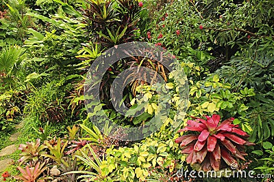 Botanical Garden, Barbados, Caribbean Stock Photo