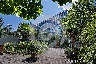 Botanical garden of the Albert Ludwig University of Freiburg Breisgau Stock Photo
