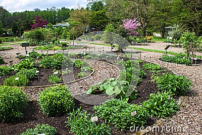 Botanical garden Stock Photo