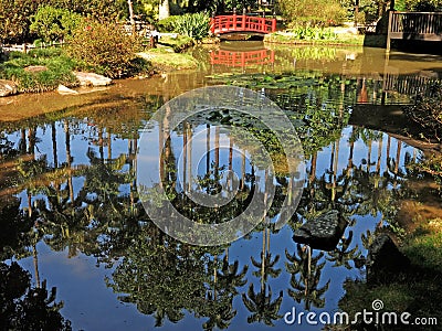 Botanical garden Stock Photo