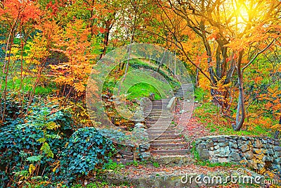 Botanical Garden in Tbilisi Stock Photo