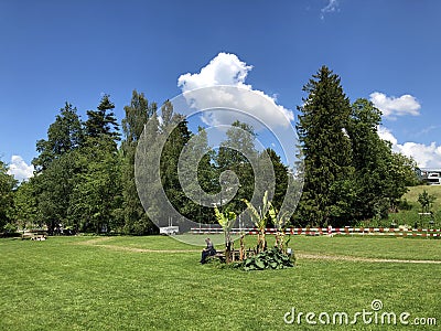 Botanical Garden of the University of Zurich or Botanischer Garten der Universitaet Zuerich Stock Photo