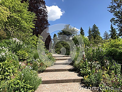 Botanical Garden of the University of Zurich or Botanischer Garten der Universitaet Zuerich Stock Photo