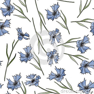 Botanical Illustration of cartoony wildflowers. Summer background, grass and cornflowers. Seamless pattern. Stock Photo