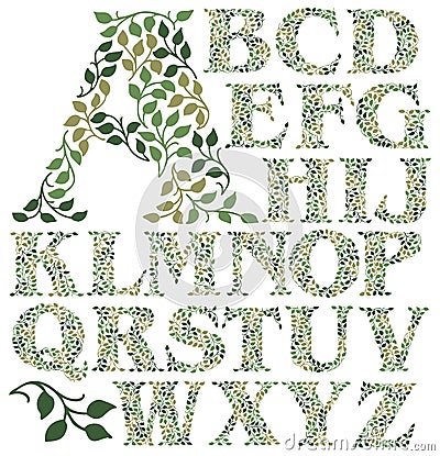 Botanical Leaves Alphabet/eps Vector Illustration