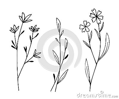 Botanical linear leaf set. Abstract minimalist leaves collection, creative herbal art. Hand drawn wedding herb Vector Illustration