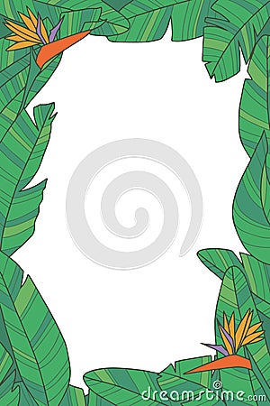 Botanical plant vector frame with green exotic Strelitzia bird of paradise flower leaves on transparent background Stock Photo