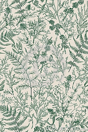 Botanical seamless hand-drawn pattern Vector Illustration