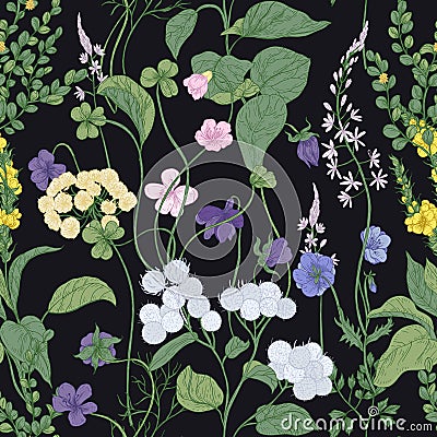 Botanical seamless pattern with blooming wild flowers and meadow flowering plants on black background. Floral backdrop Vector Illustration