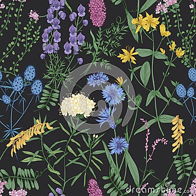 Botanical seamless pattern with romantic wild blooming flowers, meadow flowering herbs and herbaceous plants on black Vector Illustration