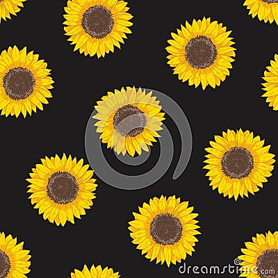 Botanical seamless pattern with sunflower heads. Natural backdrop with blooming flower or cultivated crop hand drawn on Vector Illustration
