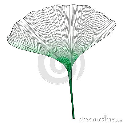 Botanical series Elegant Single Exotic leaf in sketch style in black and green gradient on white background Vector Illustration