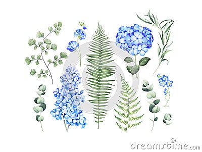 Botanical set with eucalyptus branches, fern and blue flowers isolated on white background. Watercolor illustration. Cartoon Illustration