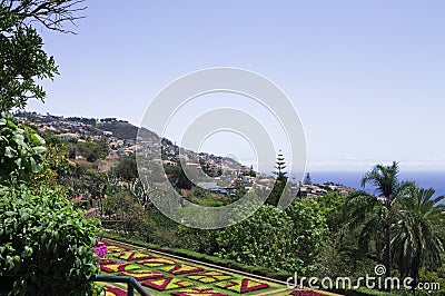 Botanical and tropical garden panoramic view with flowers and palms Funchal,Madeira,Portugal Stock Photo