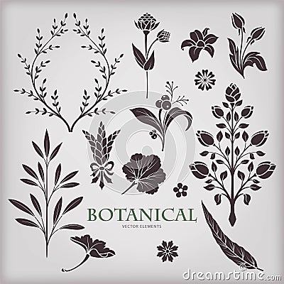Botanical vector elements Vector Illustration