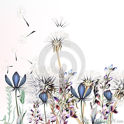 5Botanical vector illustration with dandelions and lavender Cartoon Illustration