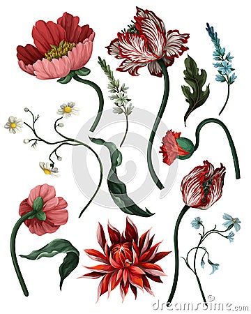 Botanical victorian flowers and bugs isolated. Tulip, peony and other. Vector Illustration