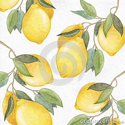 Botanical watercolor, lemon watercolor, botanical lemon, botanical background Stock Photo
