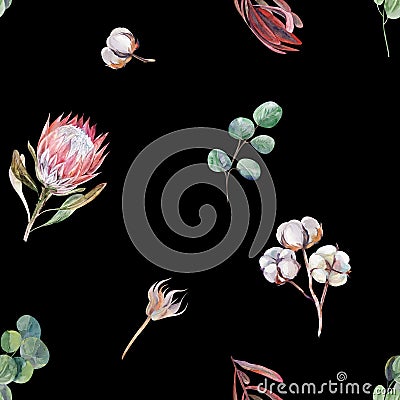 Botanical watercolor pattern with protea flowers on black background Stock Photo