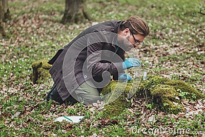 Botanist collecting moss samples Stock Photo