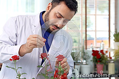 Botanist scientist holding flask and dropping red chemical extraction to red rose flower, biological researcher man does science Stock Photo