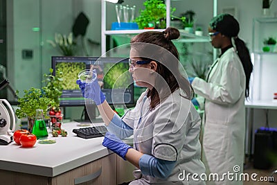 Botanist woman looking at petri dish with leaf sample checking gmo test Stock Photo