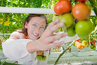 Botanist working in green house Stock Photo