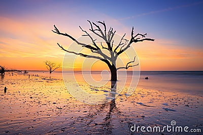 Botany Bay Beach at dawn Stock Photo