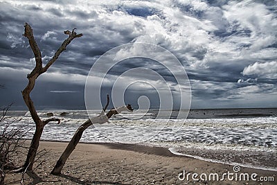 Botany Bay Beach Stock Photo