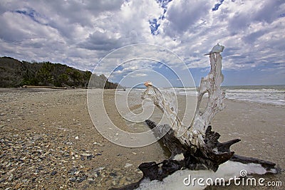 Botany Bay Plantation Boneyard Beach SC Stock Photo