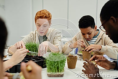 Botany Lesson in School Stock Photo