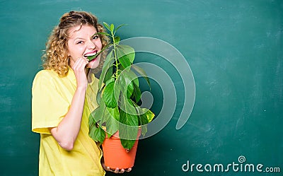 Botany is about plants flowers and herbs. Take good care plants. Indoor plants are tough enough to withstand any neglect Stock Photo
