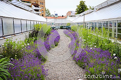 A botany Stock Photo