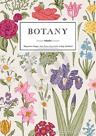 Botany. Vintage floral card. Vector Illustration