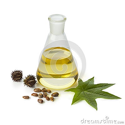 Botlle castor oil with fruit, seeds and leaf Stock Photo