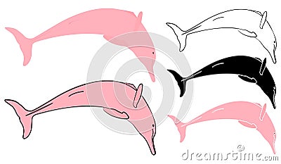 Boto cor de rosa in front view Vector Illustration