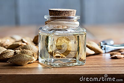 A bottle of apricot kernel oil with apricot kernels Stock Photo