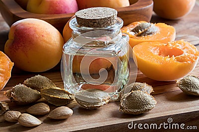 A bottle of apricot kernel oil with fresh apricots Stock Photo