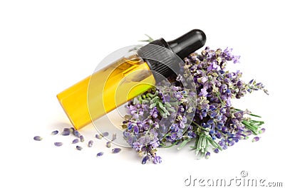 Bottle with aroma oil and lavender flowers isolated on white background Stock Photo