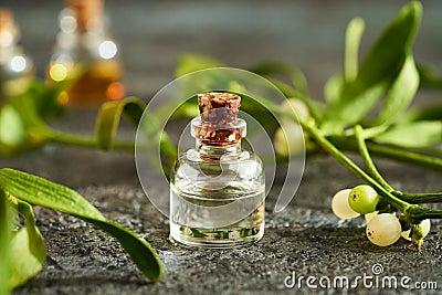 A bottle of aromatherapy essential oil with fresh mistletoe Stock Photo
