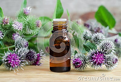 Bottle of burdock extract (oil, tincture, infusion) Stock Photo