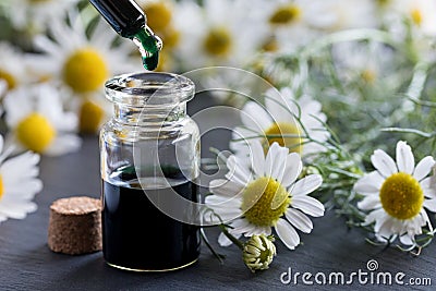 A bottle of chamomile essential oil with fresh chamomile flowers Stock Photo